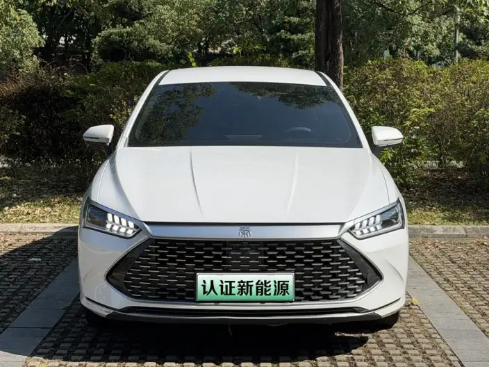 BYD Qin PLUS DM 2023 Model DM-i Champion Edition 55KM Leading Model – фото 2