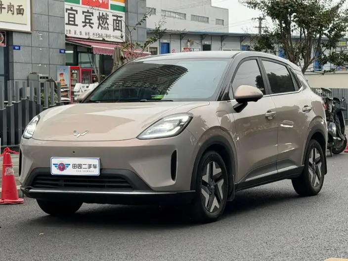 Wuling BingoS 2025 Model 430km Flagship Model