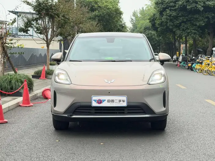 Wuling BingoS 2025 Model 430km Flagship Model
