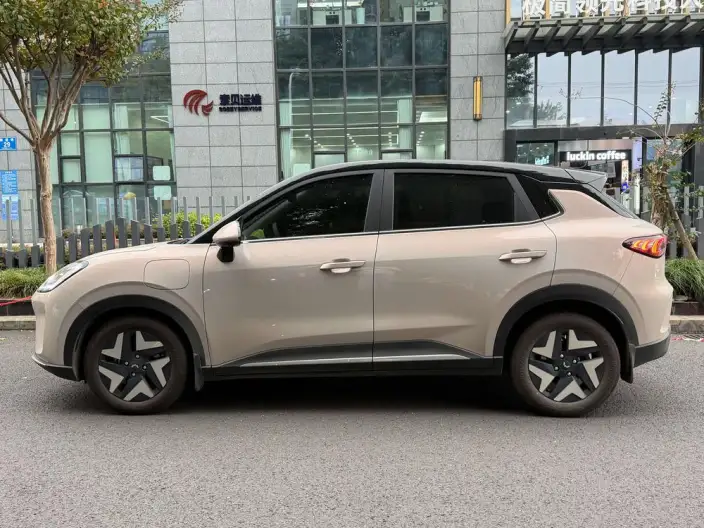 Wuling BingoS 2025 Model 430km Flagship Model