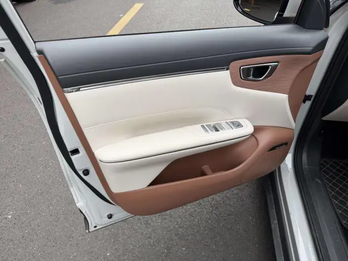 Wuling BingoS 2025 Model 430km Flagship Model – фото 6