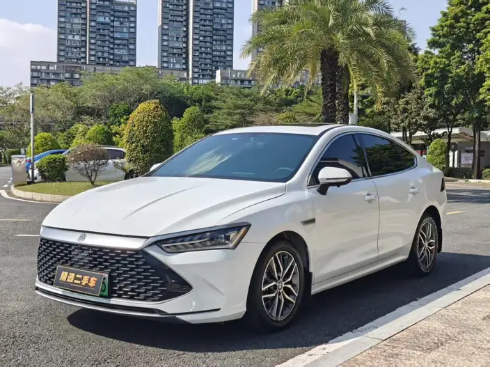 BYD Qin PLUS DM 2021 Model DM-i 55KM Flagship Model – фото 1