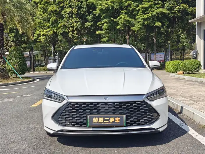 BYD Qin PLUS DM 2021 Model DM-i 55KM Flagship Model – фото 2