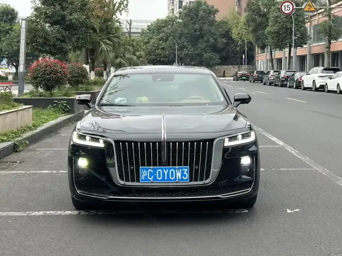 HONGQI H9 2020 Model 2.0T Smart Flag Enjoy Edition – фото 2