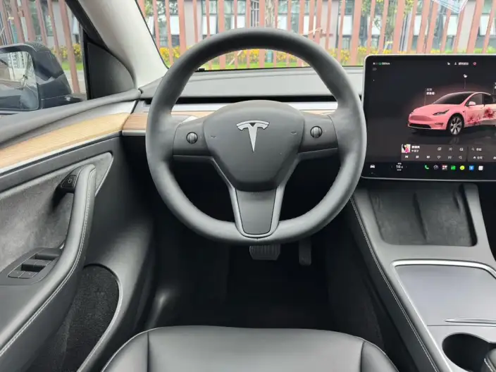 Model Y 2022 Model Facelift Rear-wheel drive version – фото 7