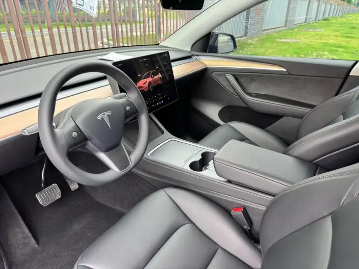 Model Y 2022 Model Facelift Rear-wheel drive version – фото 8