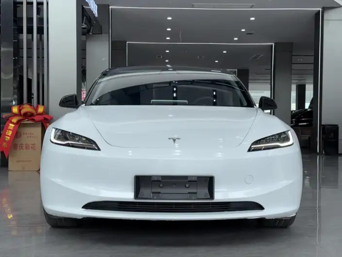 Model 3 2023 Model Long Battery Life Pro All-wheel drive version – фото 2