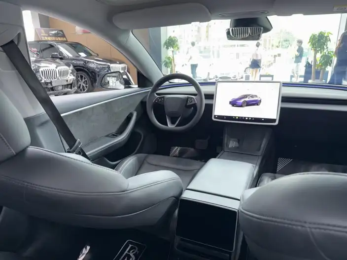 Model 3 2023 Model Long Battery Life Pro All-wheel drive version – фото 7