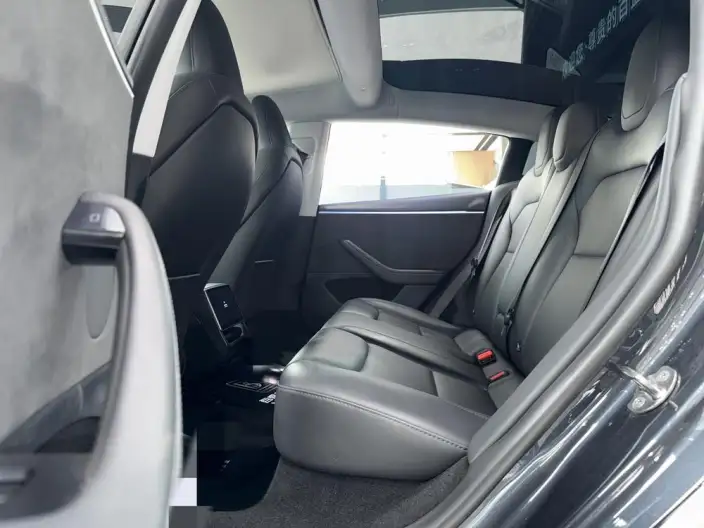 Model 3 2023 Model Long Battery Life Pro All-wheel drive version – фото 9