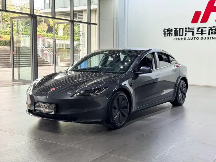 Model 3 2023 Model Long Battery Life Pro All-wheel drive version – фото 1
