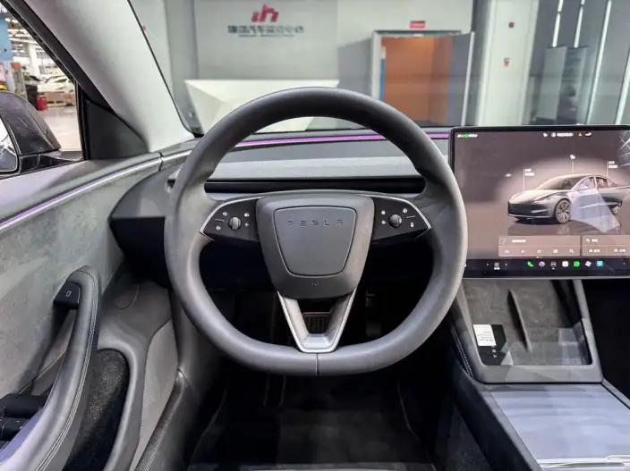 Model 3 2023 Model Long Battery Life Pro All-wheel drive version – фото 10