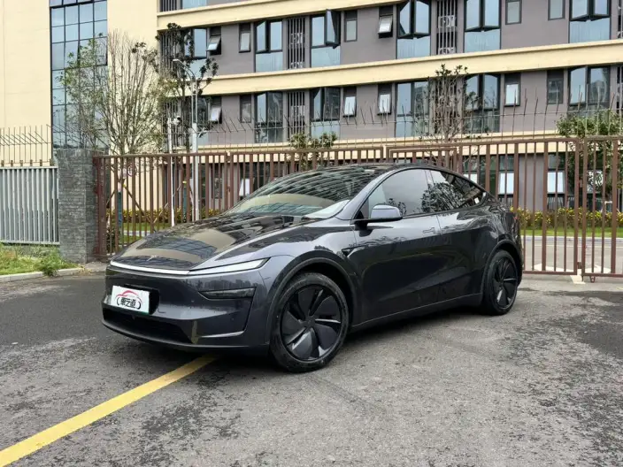 Model Y 2025 Model Rear-wheel drive version – фото 1