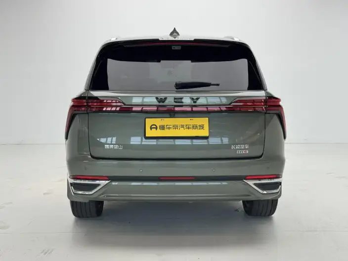 Wey Blue Mountain 2025 Model 4WD Max – фото 6