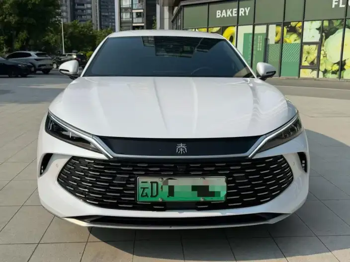 QinL DM 2025 Model Smart Driving Edition DM-i 120KM Leading Model – фото 2