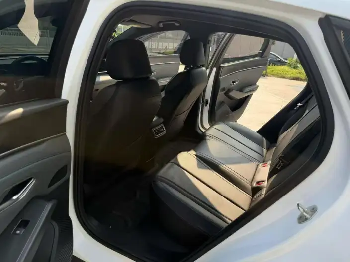 QinL DM 2025 Model Smart Driving Edition DM-i 120KM Leading Model – фото 9