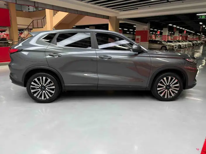Changan Oshan X5 2021 Model Facelift 1.5T DCT Luxury Model – фото 8