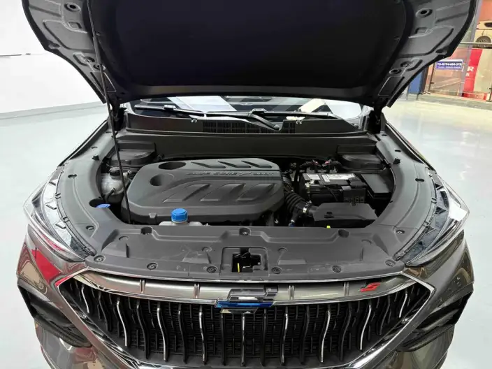 Changan Oshan X5 2021 Model Facelift 1.5T DCT Luxury Model – фото 10