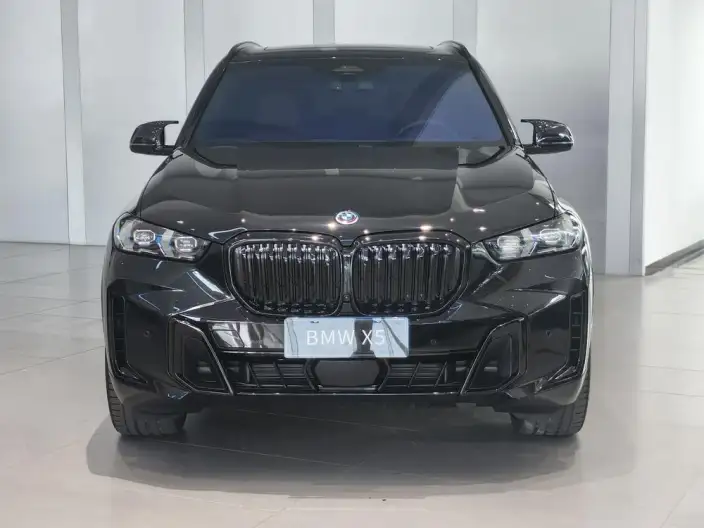 BMW X5 2025 Model xDrive40Li M Sports Night Set – фото 2