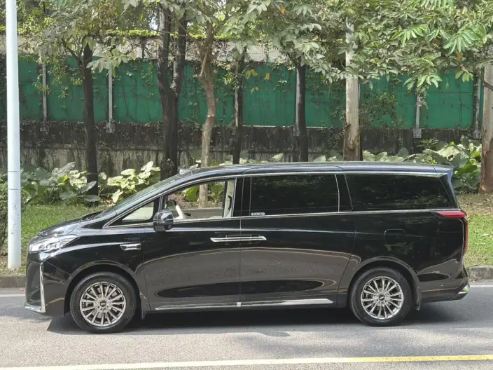 Wey Gaoshan P HEV 2025 Model 4WD Wey Gaoshan 8