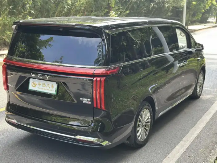 Wey Gaoshan P HEV 2025 Model 4WD Wey Gaoshan 8 – фото 5