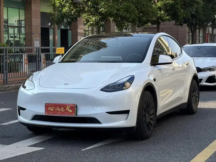 Model Y 2024 Model Rear-wheel drive version – фото 1