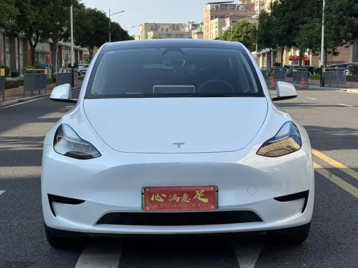 Model Y 2024 Model Rear-wheel drive version – фото 2