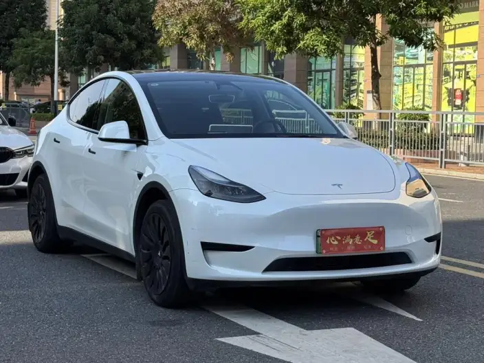 Model Y 2024 Model Rear-wheel drive version – фото 3