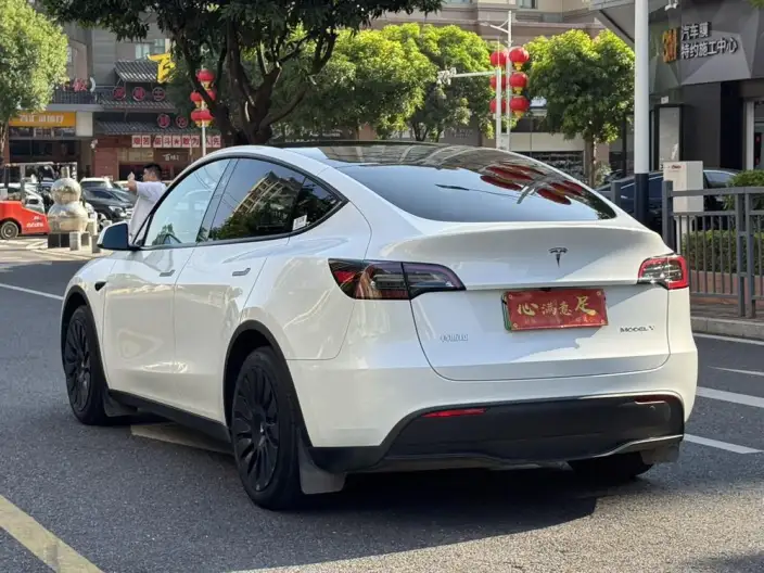 Model Y 2024 Model Rear-wheel drive version – фото 4