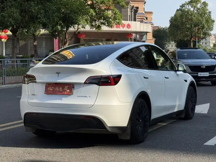 Model Y 2024 Model Rear-wheel drive version – фото 6