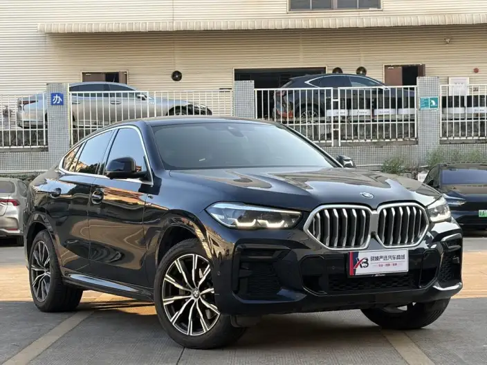 BMW X6 2022 Model xDrive30i M Sports Set – фото 3