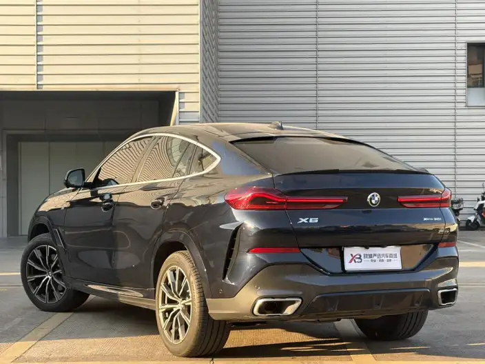 BMW X6 2022 Model xDrive30i M Sports Set – фото 4