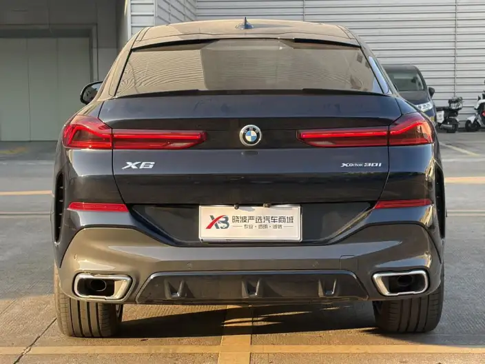 BMW X6 2022 Model xDrive30i M Sports Set – фото 5