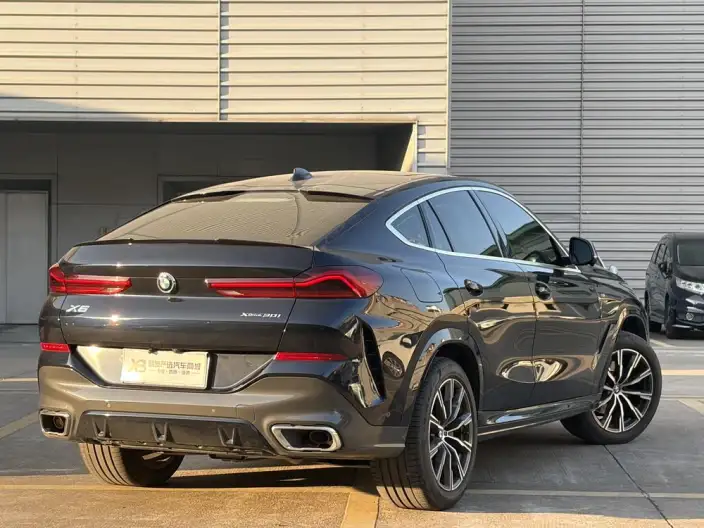 BMW X6 2022 Model xDrive30i M Sports Set – фото 6