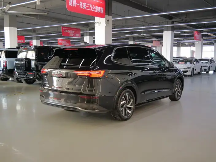 Viloran 2023 Model Facelift 380TSI Zun Drive Edition – фото 7