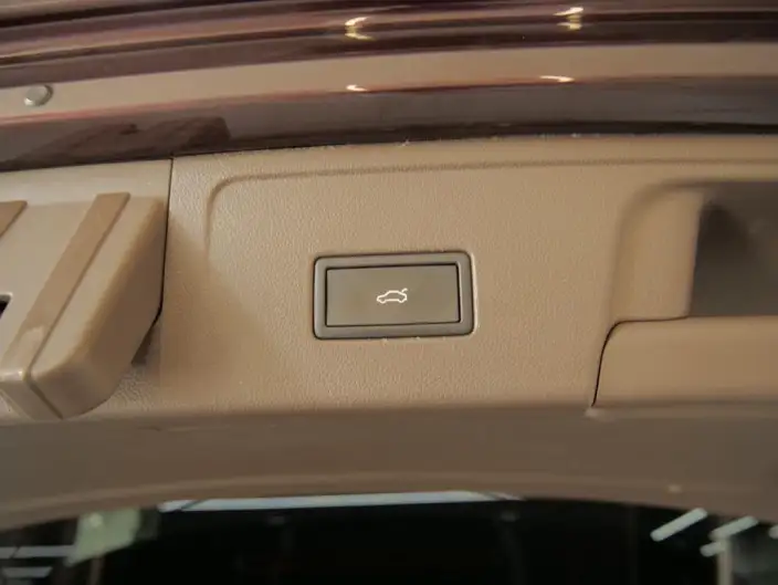 Viloran 2022 Model 380TSI Zun Drive Edition – фото 10