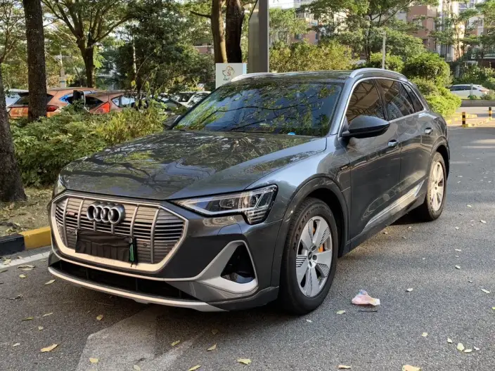 AUDI e-tron 2021 Model 50 quattro Luxury Model – фото 1