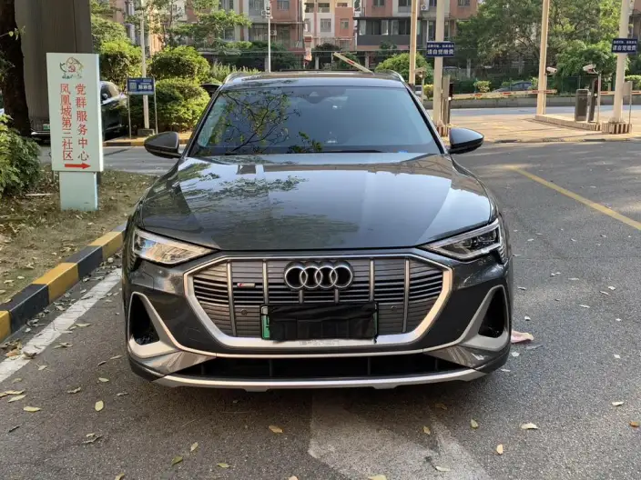 AUDI e-tron 2021 Model 50 quattro Luxury Model – фото 2