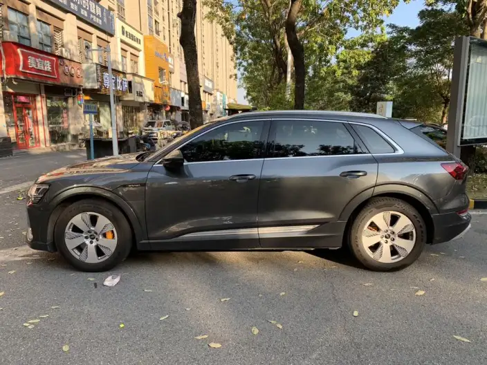 AUDI e-tron 2021 Model 50 quattro Luxury Model – фото 3
