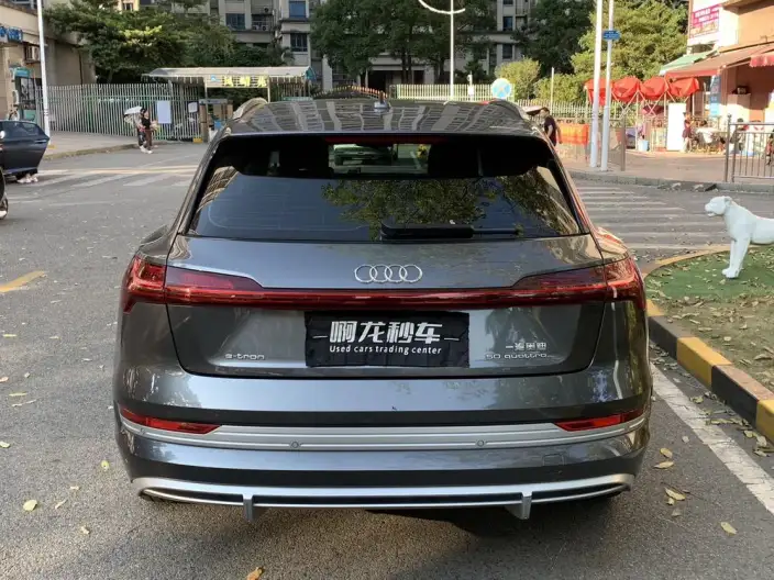AUDI e-tron 2021 Model 50 quattro Luxury Model – фото 4