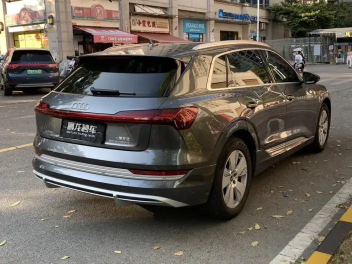 AUDI e-tron 2021 Model 50 quattro Luxury Model – фото 5