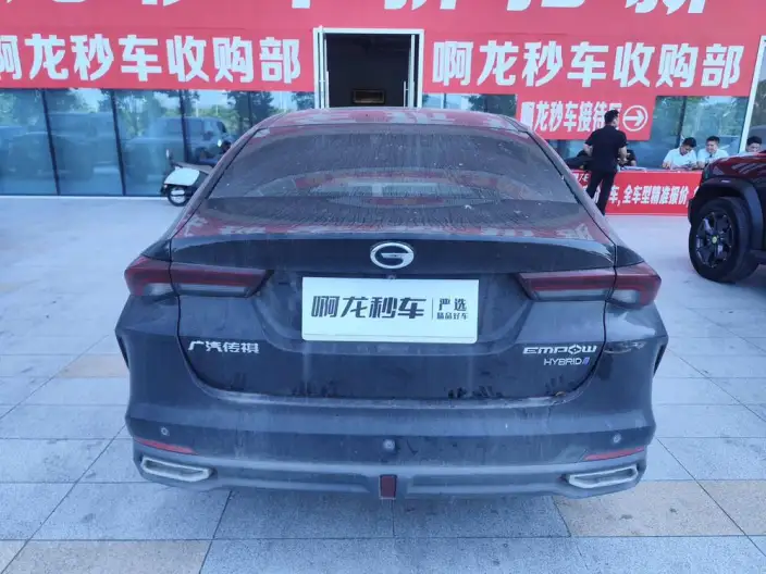 Emzoom 2023 Model 2.0L DHT High Power Hybrid version