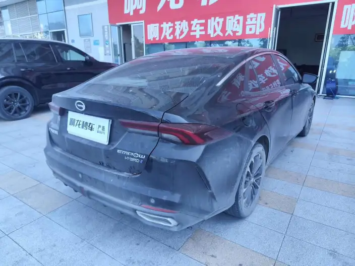 Emzoom 2023 Model 2.0L DHT High Power Hybrid version – фото 5