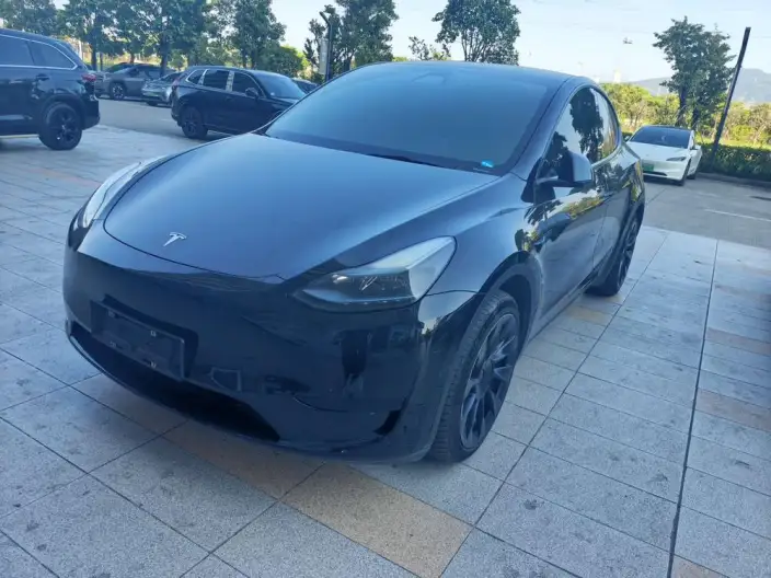 Model Y 2022 Model Rear-wheel drive version – фото 1