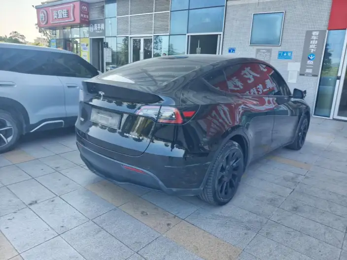 Model Y 2022 Model Rear-wheel drive version – фото 4