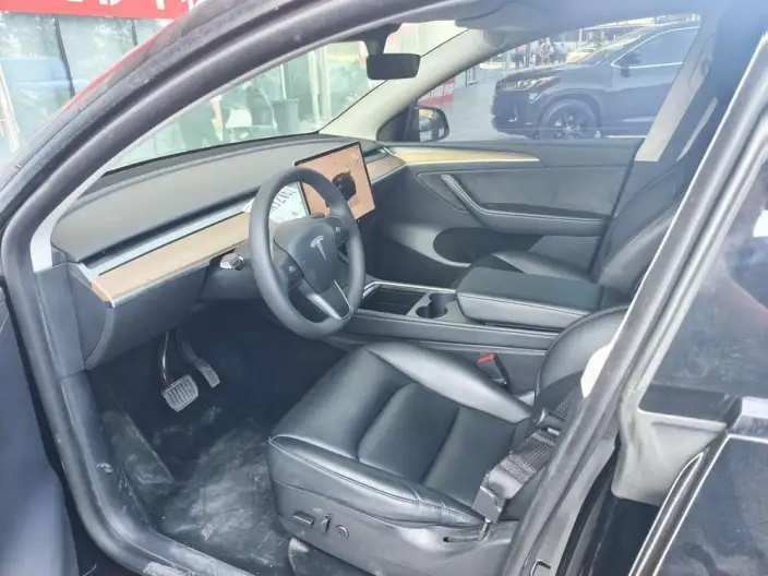 Model Y 2022 Model Rear-wheel drive version – фото 8