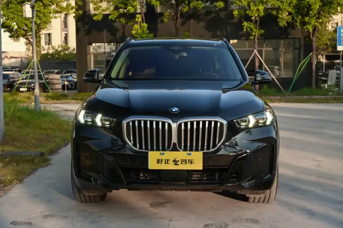 BMW X5 2023 Model xDrive30Li Exclusive Model M Sports Night Set – фото 2