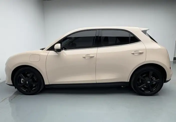 ORA Good Cat 2024 Model 401km Luxury Model
