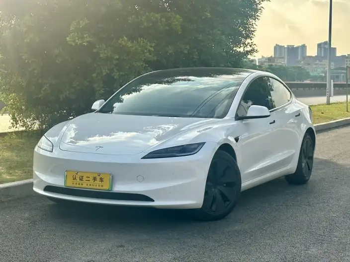 Model 3 2023 Model Long Battery Life Pro All-wheel drive version – фото 1