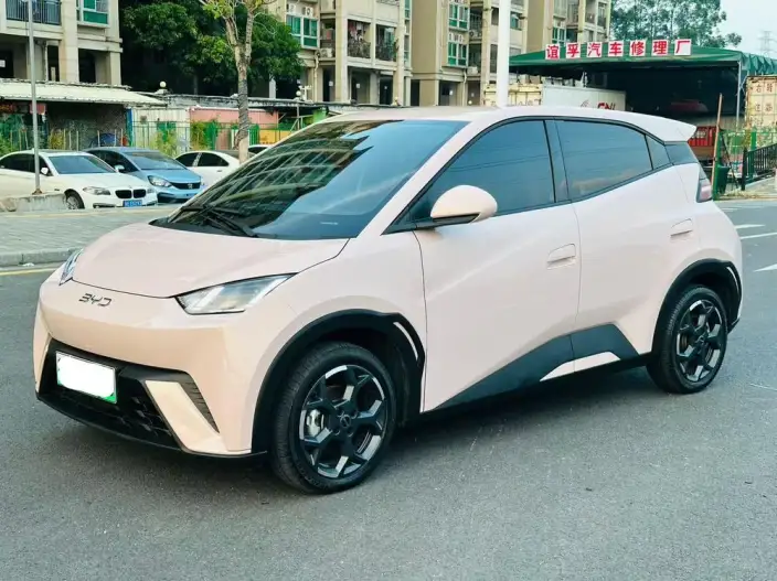 BYD Seagull 2024 Model Honor Edition 305KM Vitality Edition – фото 1