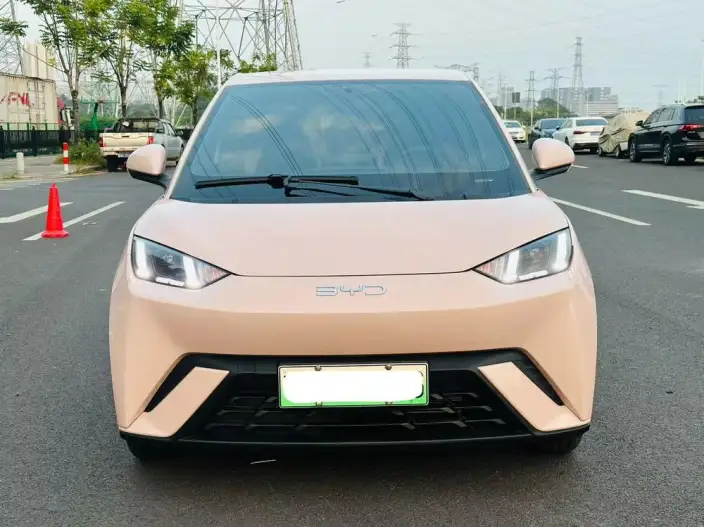 BYD Seagull 2024 Model Honor Edition 305KM Vitality Edition – фото 2